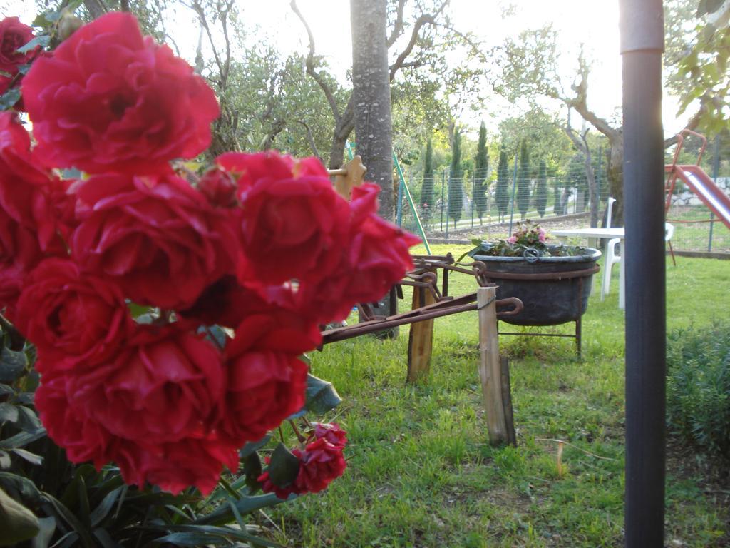 Agriturismo La Fattoria San Donato Val di Comino Exterior photo
